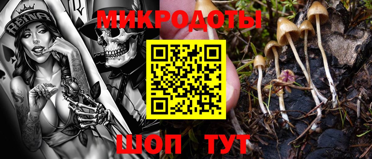 Галлюциногенные грибы Cubensis  Вход с VPN  Ноябрьск  Псилоцибиновые грибы Magic Shrooms 
